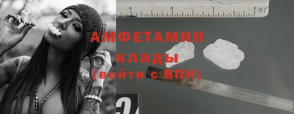 винт Аркадак