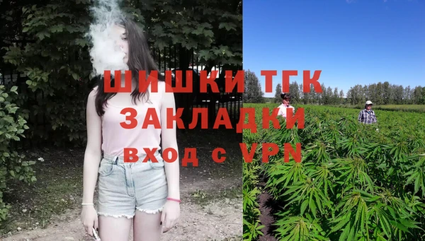 винт Аркадак