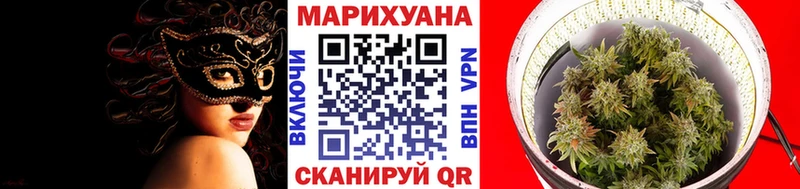 Конопля Ganja  Бабаево 